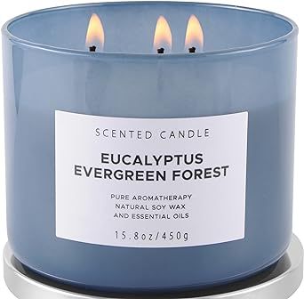 Eucalyptus Evergreen Forest Luxury 3 Wick Candle | Fall Scented Candles for Home | Pine Candle | Large Aromatherapy Stress Relief Soy Candles 15.8 oz | Balsam Fir Woods Candles for Men & Women