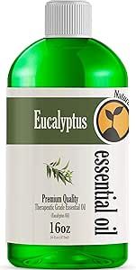 16oz - Bulk Size Eucalyptus Essential Oil (16 Ounce Total) - Therapeutic Grade Essential Oil - 16 Fl Oz Bottle